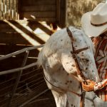 Personal Horse / Rider