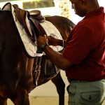 Personal Authority Branding - Equine