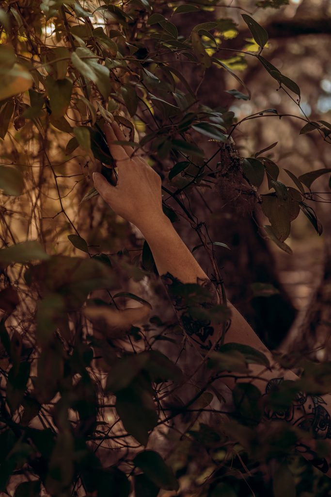 The vines from the Earth Element wrap around the witches hand as she makes them grow